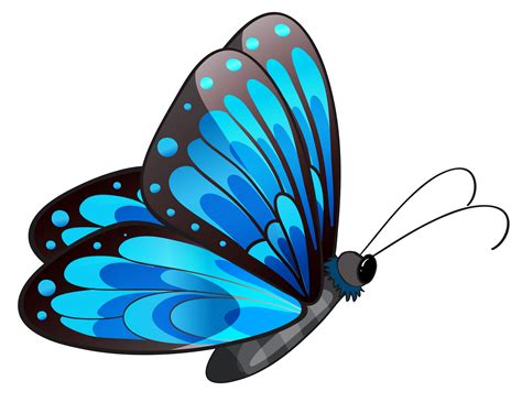 Butterfly Clip Art Images .